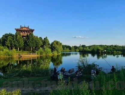 国产精品麻豆三级一区视频-被遗忘的道德面向，重塑网络内容的讨论