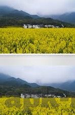 麻豆av在线一区二区三区-探寻网络内容的多样性与规范化，以麻豆AV在线一区二区三区为例