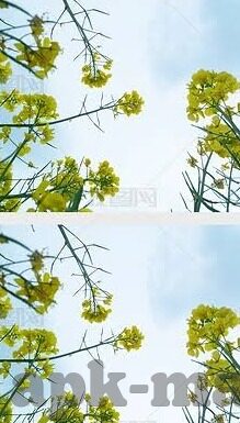 麻豆视频app破解版下载-解锁数字化世界的边界——探索一个新颖的娱乐维度