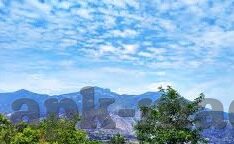 人妻 av-探索人妻角色的多维度解读，爱与自由的平衡