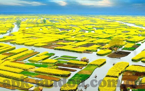 日本高清一区二区三区-探索日本影视文化的多元视角，高清一区、二区、三区的独特魅力