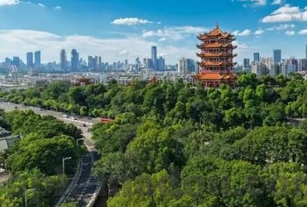 糖心app破解版下载-糖心app的诱惑——探秘与风险