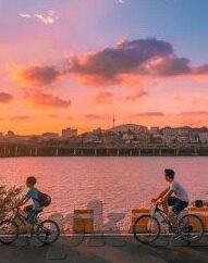 vlogcom糖心视频app下载-Vlogcom与糖心视频，解锁多彩生活与娱乐的新窗口
